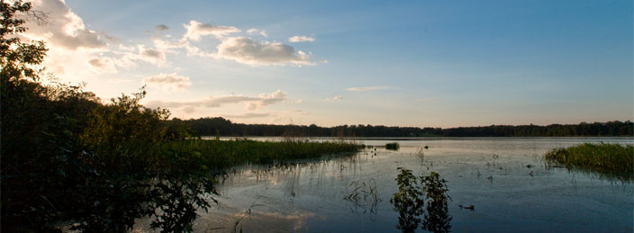 Ordway-Swisher Biological Station