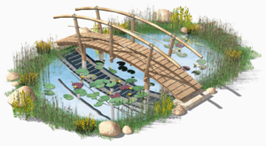 Pond with Bridge
