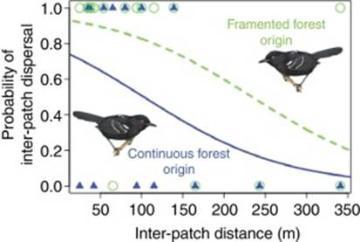 Behavioral Landscape Ecology of Forest Animals